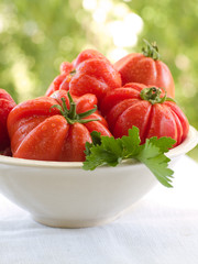 Canvas Print - tomatoes