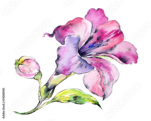 Tapeta ścienna na wymiar Watercolor Pink Lily