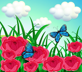 Wall Mural - Butterflies in the meadow