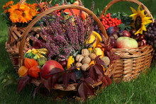 Autumn In Basket