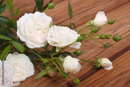 Fototapeta do kuchni climber white rose brown wooden table