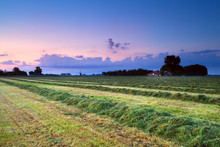 Hay On Field At Sunrise