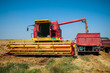 © zorandim75 - Combine harvesting wheat