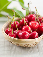 Wall Mural - cherry