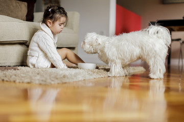 Wall Mural - Little girl with a dog