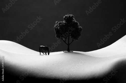 Fotografie, Obraz Landscape Bodyscape Image of a Woman