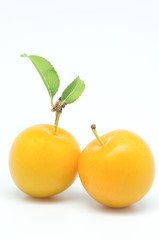 Wall Mural - two yellow plums