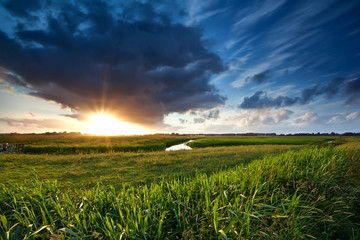 Fototapete - sunset over green summer meadow