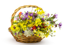 Wild Flowers In A Basket