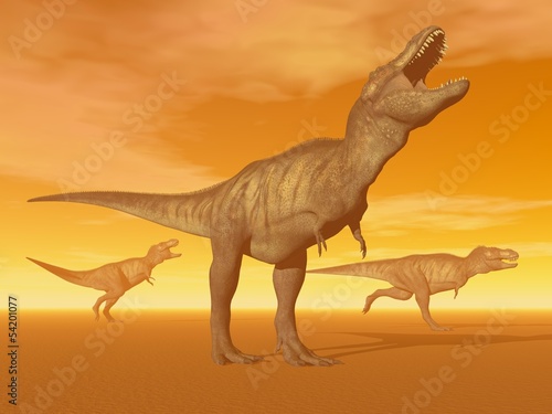 Fotoboard na płycie Tyrannosaurus dinozaury na pustyni - 3d render