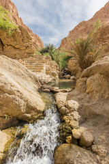 Wall Mural - mountain oasis Chebika in Sahara desert, Tunisia