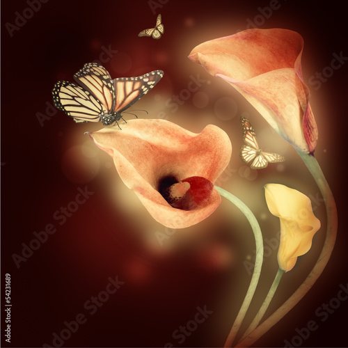 Tapeta ścienna Wielobarwne lilie i motyl na ciemnym tle