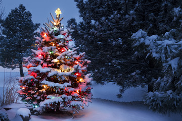 Brightly Lit Snow Covered Holiday Christmas Tree Winter Storm