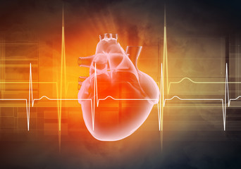 Human heart beats