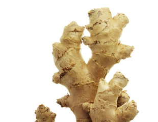 Poster - Ginger