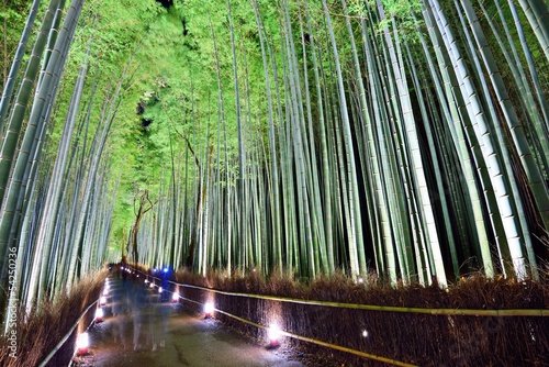 Naklejka dekoracyjna Bamboo Forest