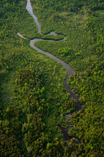 Aerial View Of A Winding River Surrounded By Green Forest