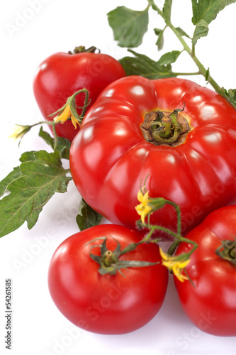 Tapeta ścienna Świeży organiczny pomidor