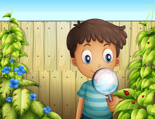 Sticker - A boy holding a magnifying glass to see the bugs