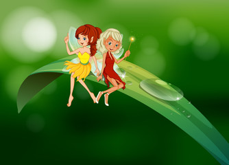 Sticker - Two fairies sitting on an elongated leaf