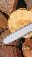 chainsaw blade cutting a wood