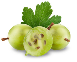 Poster - gooseberry