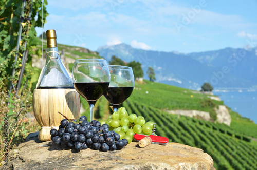 Naklejka - mata magnetyczna na lodówkę Wine on the terrace vineyard in Lavaux region, Switzerland