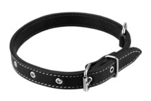 Black Leather Dog Collar Isolated On White Background