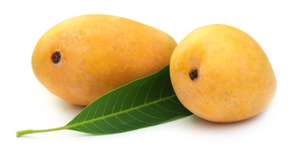 Sticker - Fresh Mangoes with green leaf