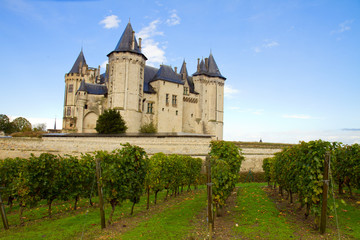 Wall Mural - saumur castle and vineyards