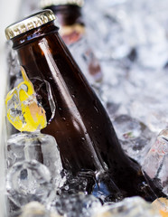 Beer bottle on ice