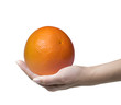 Hand hält Grapefruit
