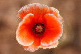 160_f_54344601_ahijecyh9kirdyvuwew6rbstdcuifuof