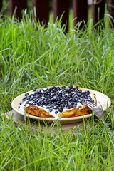 Canvas Print - Omelette with blueberries on grass. Garden party, summer food