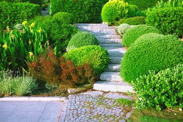 Landscaping in the garden