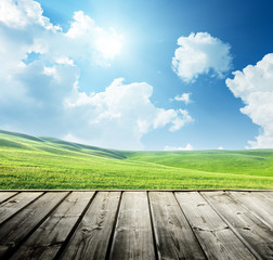 Wall Mural - green field and wood floor