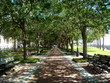 © lumachina_99 - Waterfront Park, Charleston