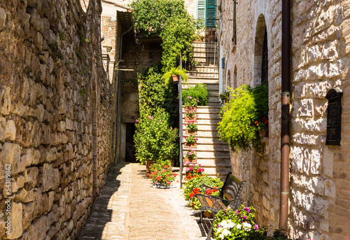 Tapeta ścienna na wymiar Ingresso casa con fiori