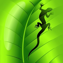 Lizard Gecko Shape on Green Leaf-Lucertola su Foglia
