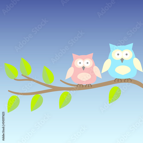 Naklejka ścienna background with owls on brunches