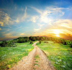 Wall Mural - country road in the mountains