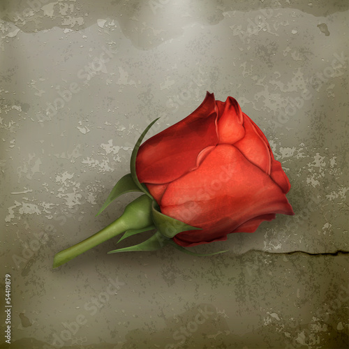 Nowoczesny obraz na płótnie Red rose old