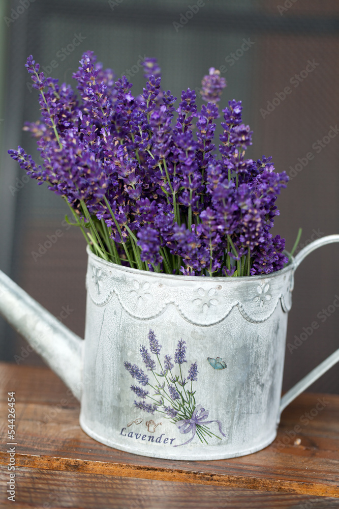 Watering Can and Lavender - obrazy, fototapety, plakaty 