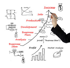 Canvas Print - Diagram showing development of business idea and business-relate