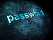© Maksim Kabakou - Security concept: Password on digital background
