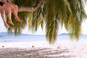 Legs of couple sitting on palm tree on a paradise island