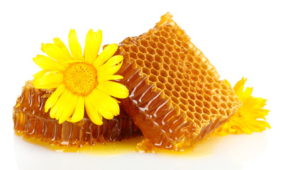 sweet honeycombs with honey and flowers, isolated on white