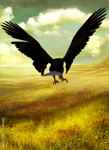 Board z aluminiowym obramowaniem Eagle fantasy land going home