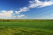 © andrei_77 - landscape field forest blue sky beautiful distance and electric high voltage line