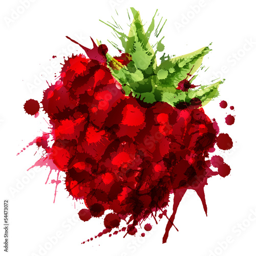 Tapeta ścienna na wymiar Raspberry made of colorful splashes on white background